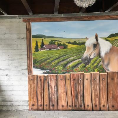 Fassade Mit Lieblingspferd2